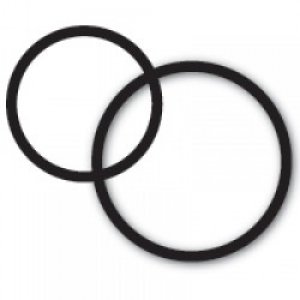 level2000-o-ring